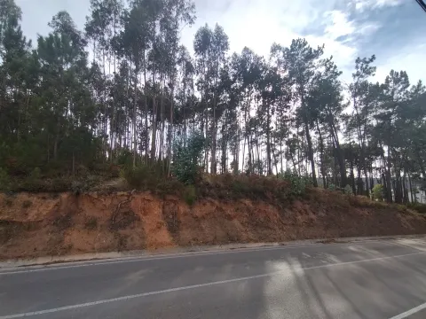 Terreno / Construção / Lameiras / Caranguejeira  