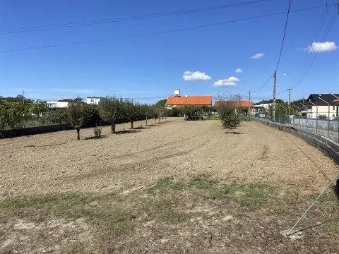 Terreno / Riba D´Aves / Ortigosa / Leiria