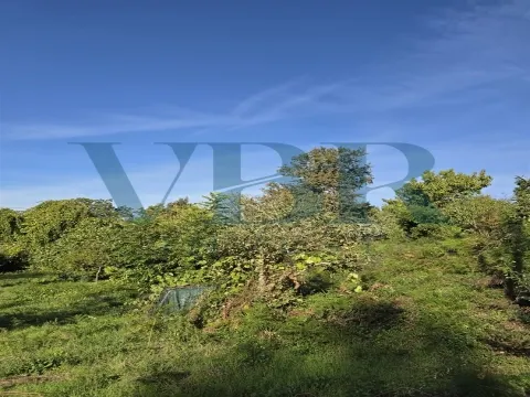 Moradia para Restaurar T3