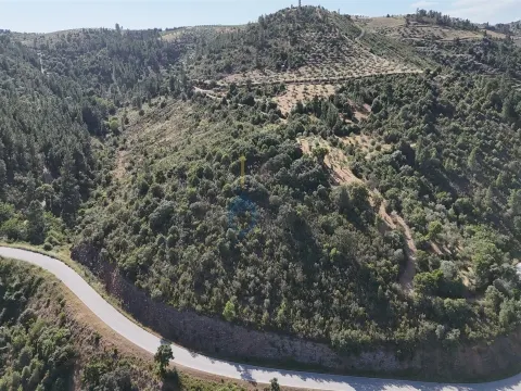 Quinta