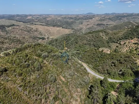 img_26