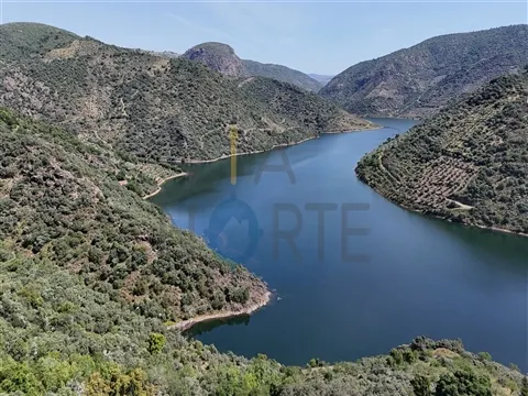 Rustico Terreno