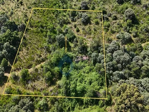 Rustico Terreno