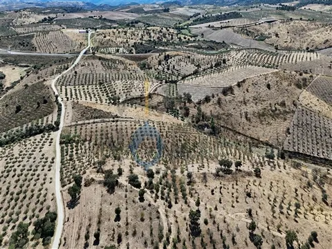 Landgrundstück