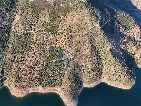 Landgrundstück
