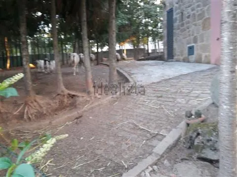 Piccola Fattoria 3 Vani