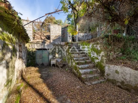 Detached house to restore Studio