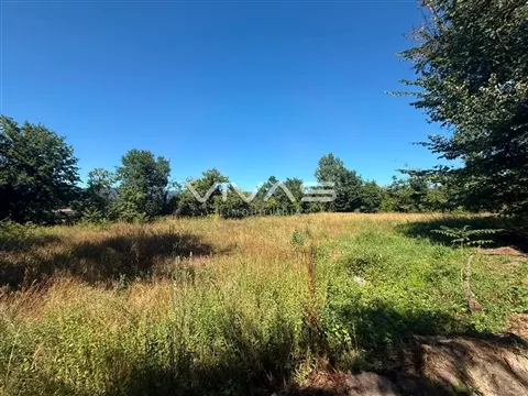 Terrain rural