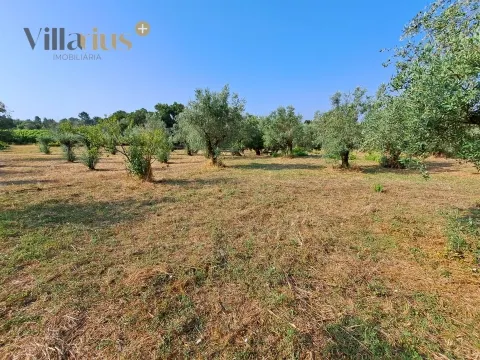 Land 11,460 m² with Approved Project — Tomar