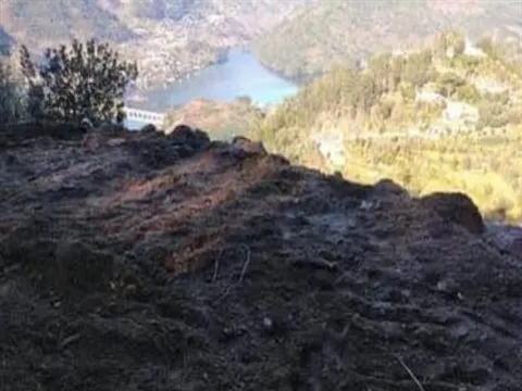 Terreno