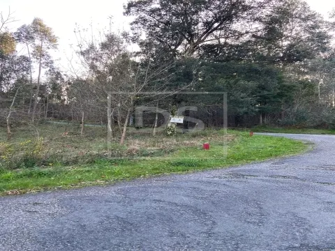 Terreno Urbano