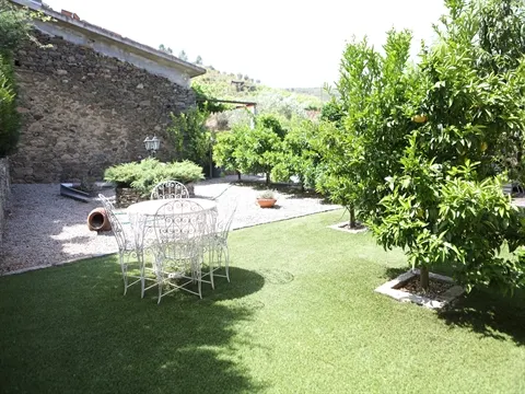 Quinta T3