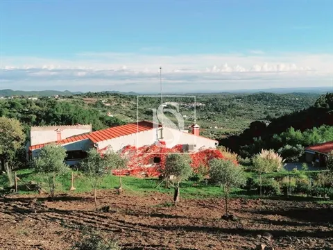 Quinta T4