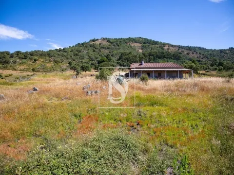 Quinta com 2,5 hectares em Ribeira de Nisa, Portalegre