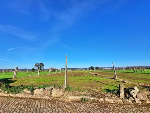 Terreno Rústico