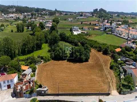 Terreno Misto