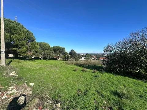 Terreno