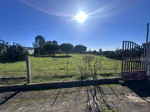 Terreno