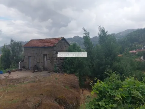 Terrain rural