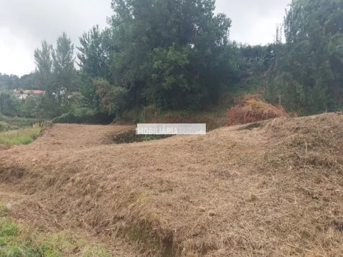 Terrain rural