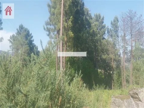 Terrain rural