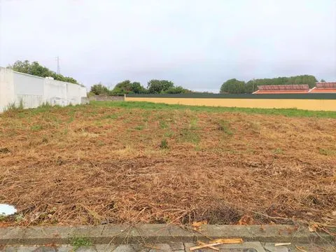 Real Estate building T4