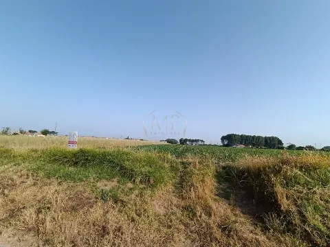Terreno Rústico com 1380m2 e 15 de frente em Ilhavo.