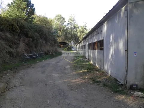 AVIÁRIO COM TERRENOS RÚSTICOS