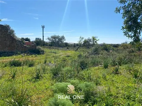 Terreno com 50.260 m2 com ruina de 180 m2