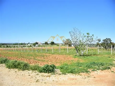 Farm with project for Rural Hotel - Albufeira