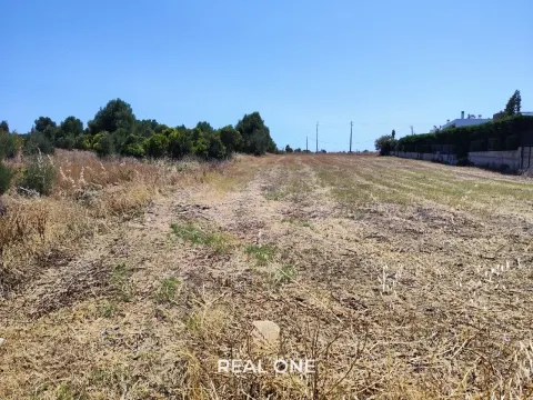 Terreno con Comunicación Previa para la Construcción de 5 Villas