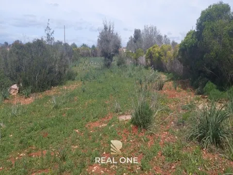 Terrain à Albufeira avec 21 790 m2