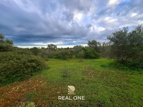 Terreno Misto com projeto aprovado para armazém - 1.100 m2