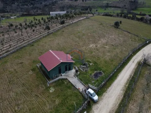 Terreno com arvores de fruto e uma construção, em Miranda do Douro.