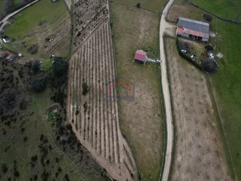 Terreno com arvores de fruto e uma construção, em Miranda do Douro.