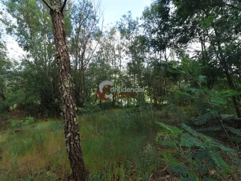 Terrain