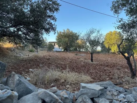 Einfamilienhaus 4 Schlafzimmer