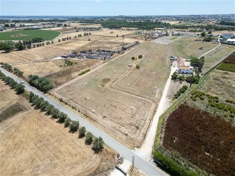 img_8
