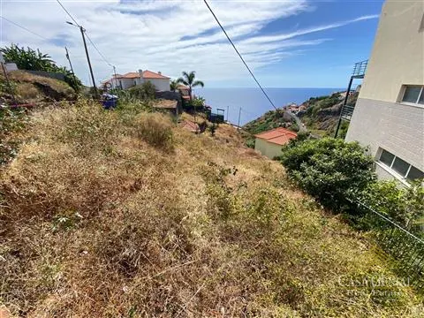 Piece of Real Estate