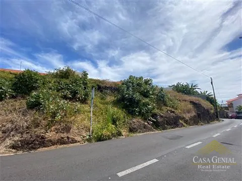 Piece of Real Estate