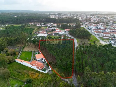 Land for construction, located in Trutas | Marinha Grande