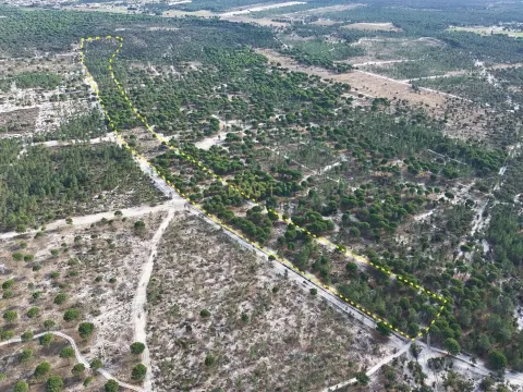 Terreno agrícola en Grândola