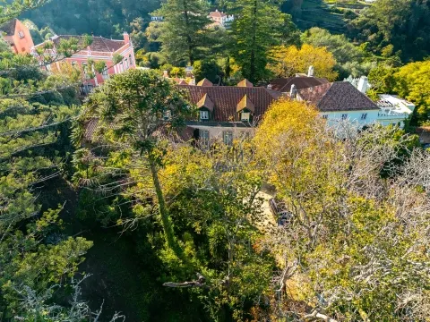 Quinta histórica no Centro de Sintra