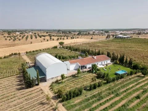 Quinta Biológica - Monte de Palma em Sao Manços com negócio.