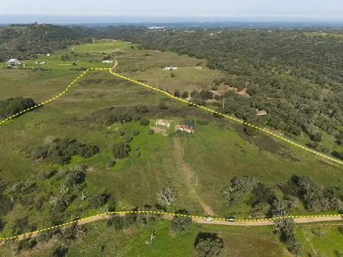 11.5-Hectare Farm in Alentejo