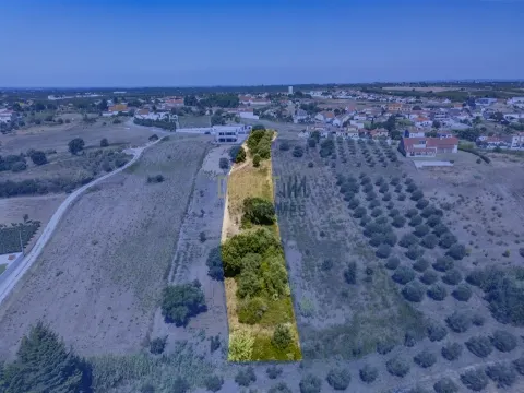 TERRAIN de 3000m2 à construire à Ereira, conseil de Cartaxo, district de Santarémé!