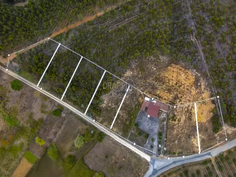 Terreno edificabile di 1000 m2.  