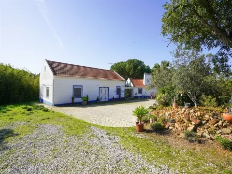 Fattoria in Alentejo