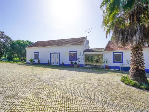 Fattoria in Alentejo