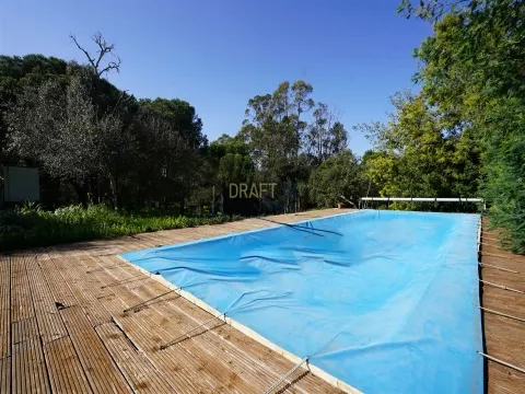 Fattoria in Alentejo